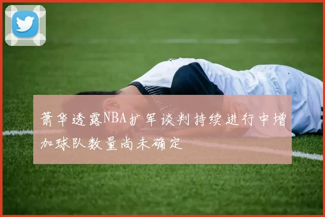 萧华透露NBA扩军谈判持续进行中增加球队数量尚未确定