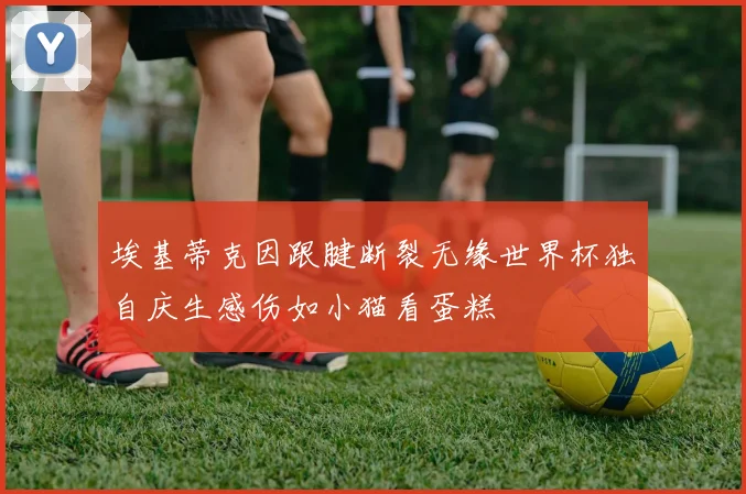 埃基蒂克因跟腱断裂无缘世界杯独自庆生感伤如小猫看蛋糕