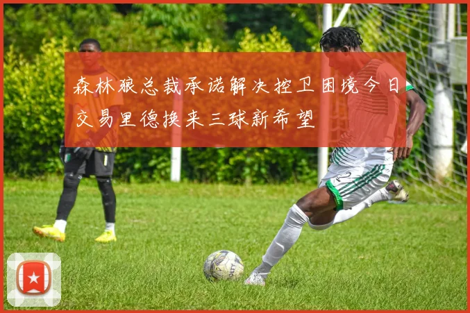 森林狼总裁承诺解决控卫困境今日交易里德换来三球新希望